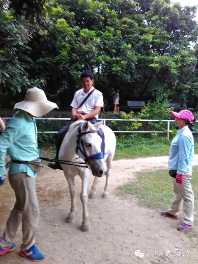 ���ҷ���׌��������á�2015��B�T�м�����(ji��)�����