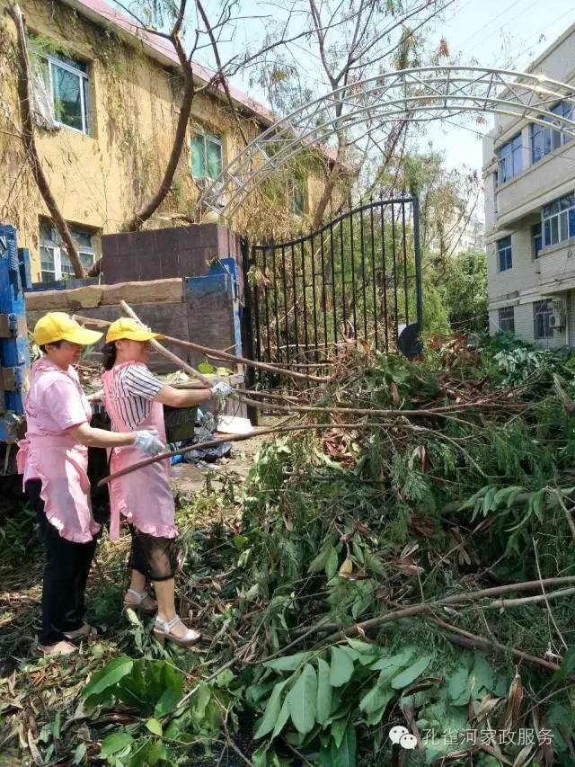 ��������y���������