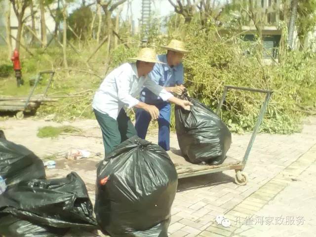 ��������y���������