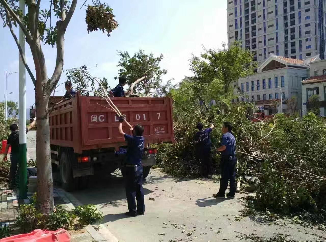 �B�T������˾������(z��i)���ؽ��x�����