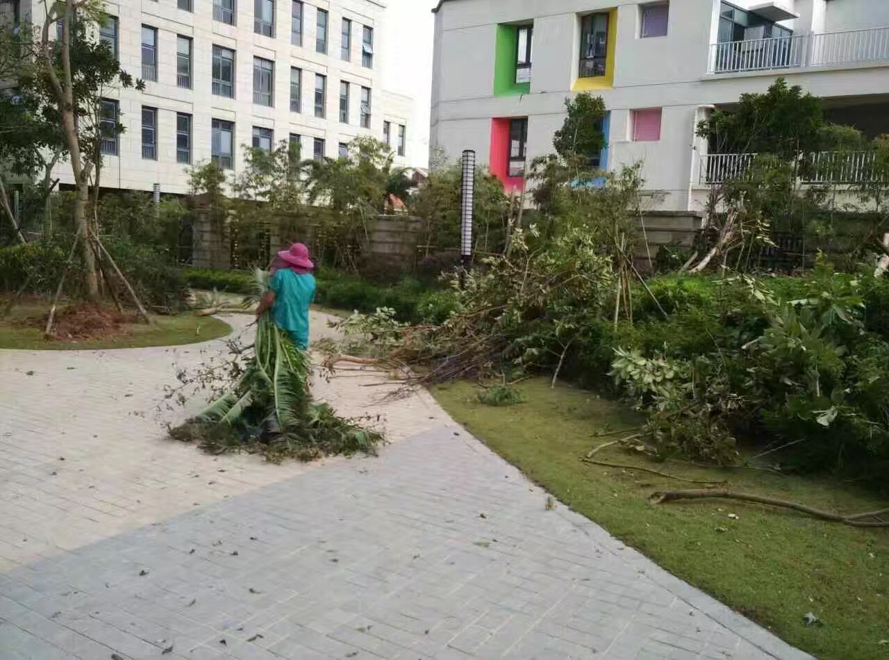 �B�T������˾������(z��i)���ؽ��x�����