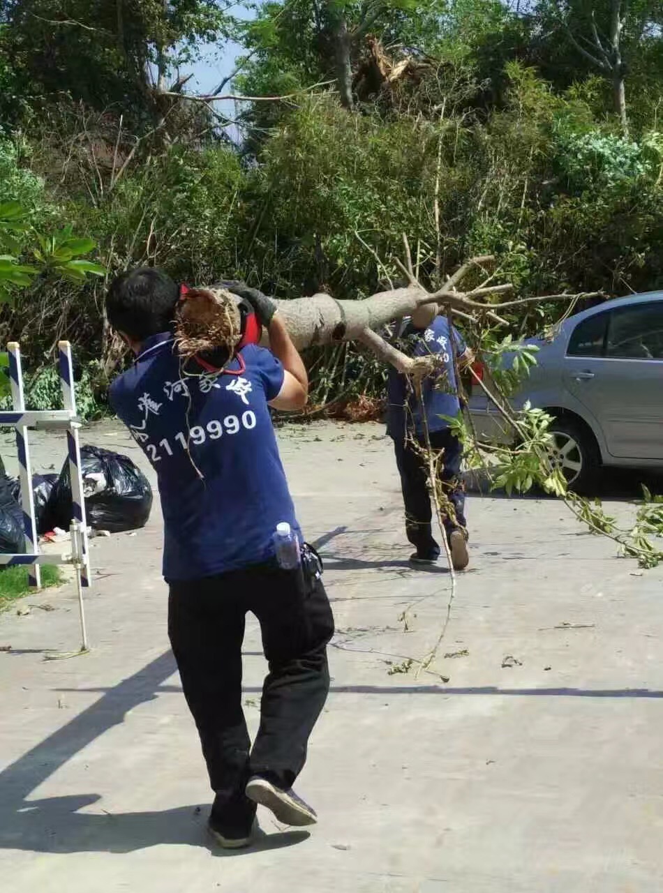 �B�T������˾������(z��i)���ؽ��x�����