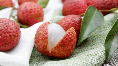 ��֦����һ���@��������ȸ����ɩ��Ӗ���f��